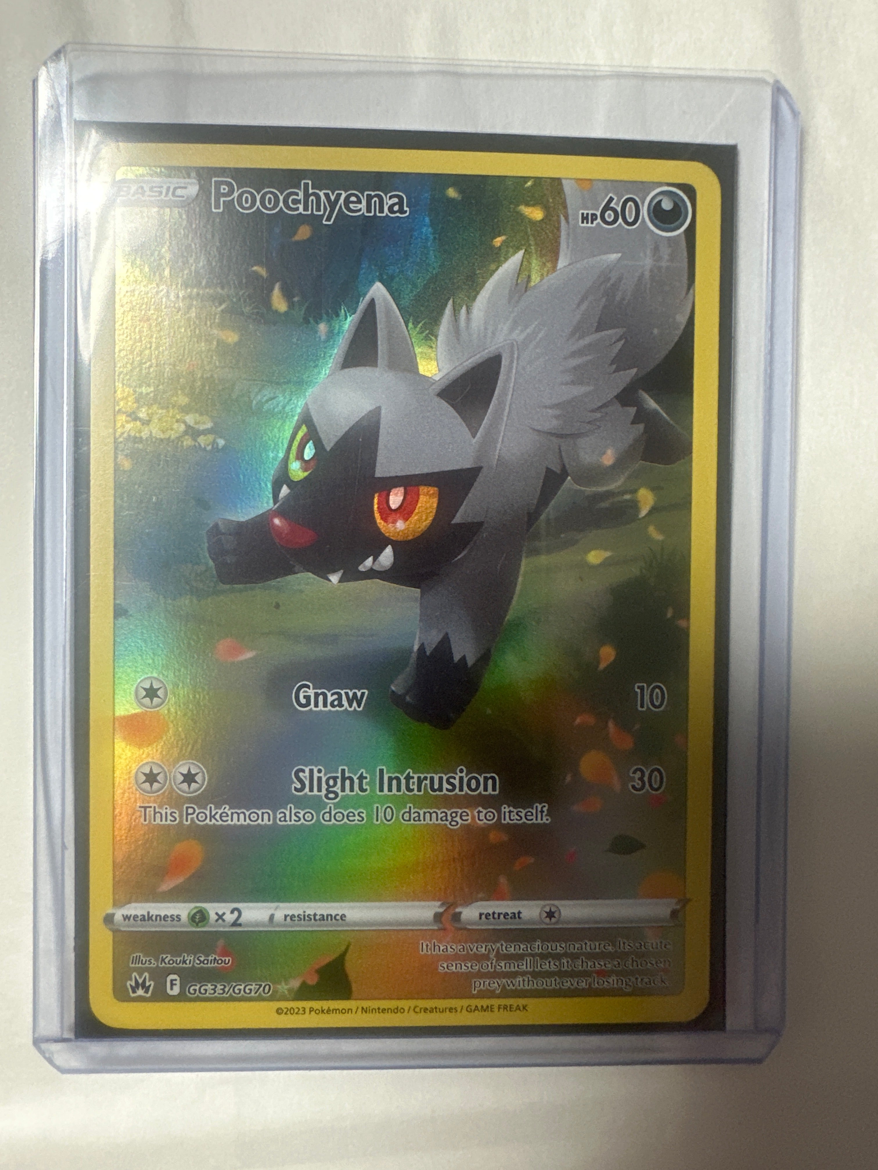 Pokémon | Poochyena GG33/GG70 • Crown Zenith