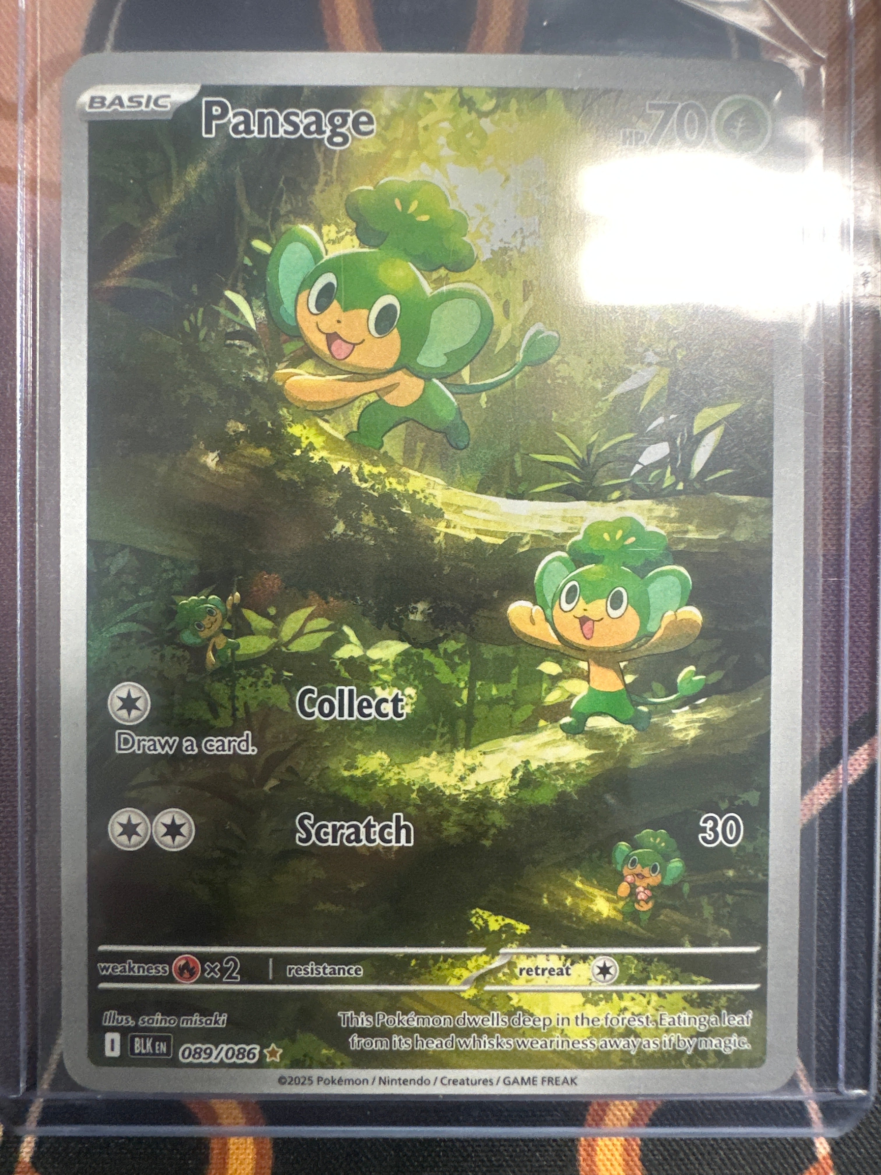 Pokémon | Pansage 089/086 • Black Bolt