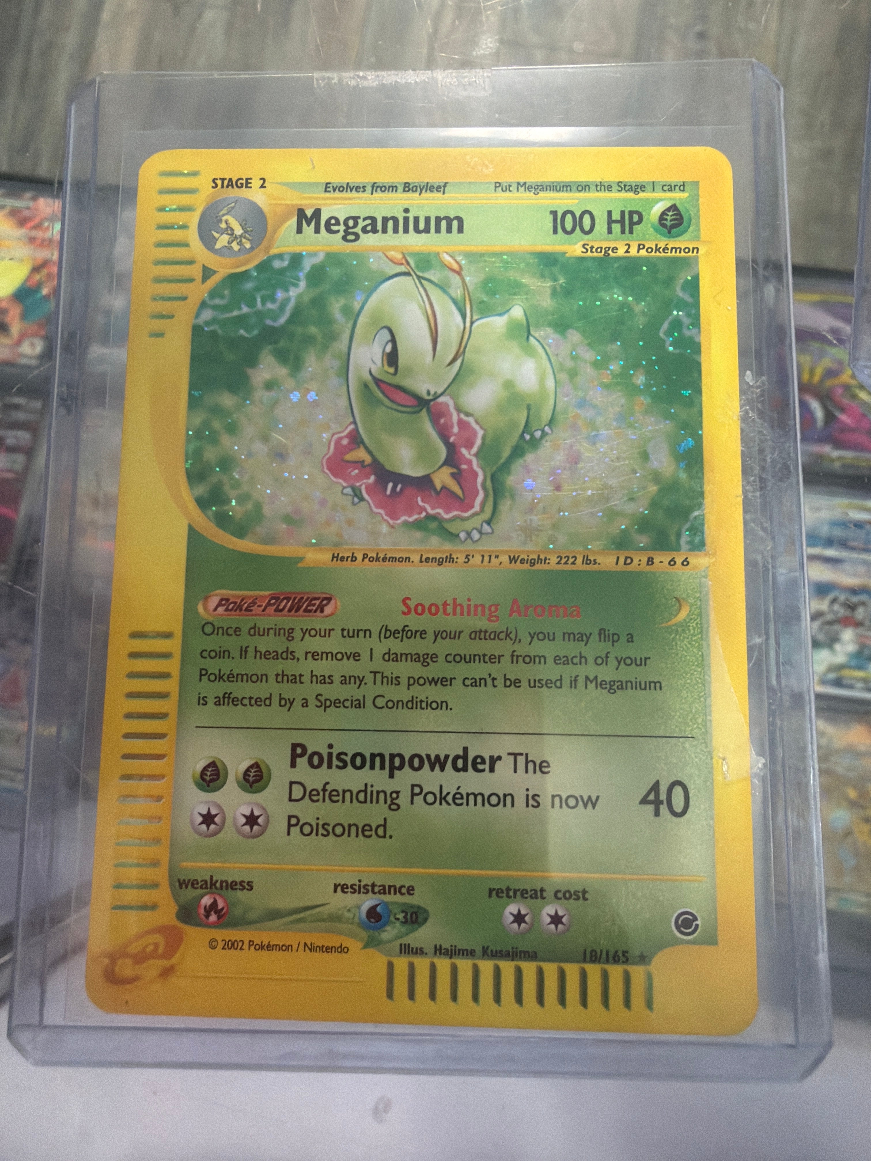Pokemon | Meganium - EX: Expedition (18/165) e-Reader