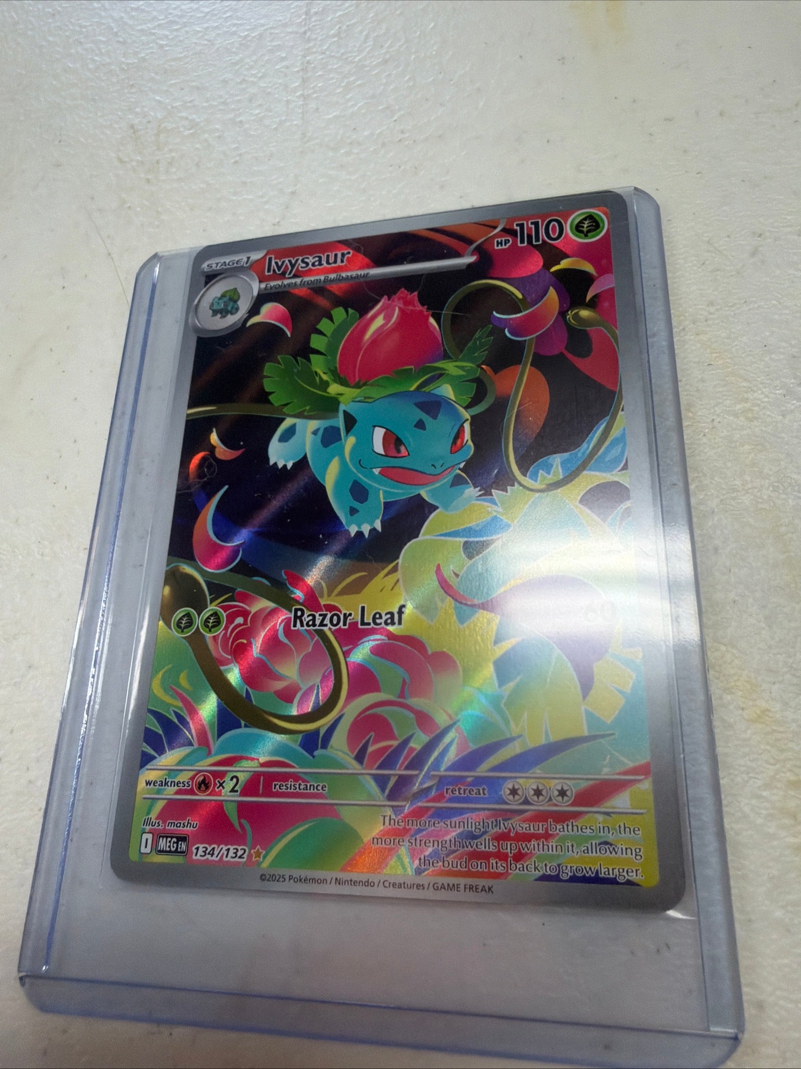 Ivysaur - 134/132 - ME01: Mega Evolution (MEG)