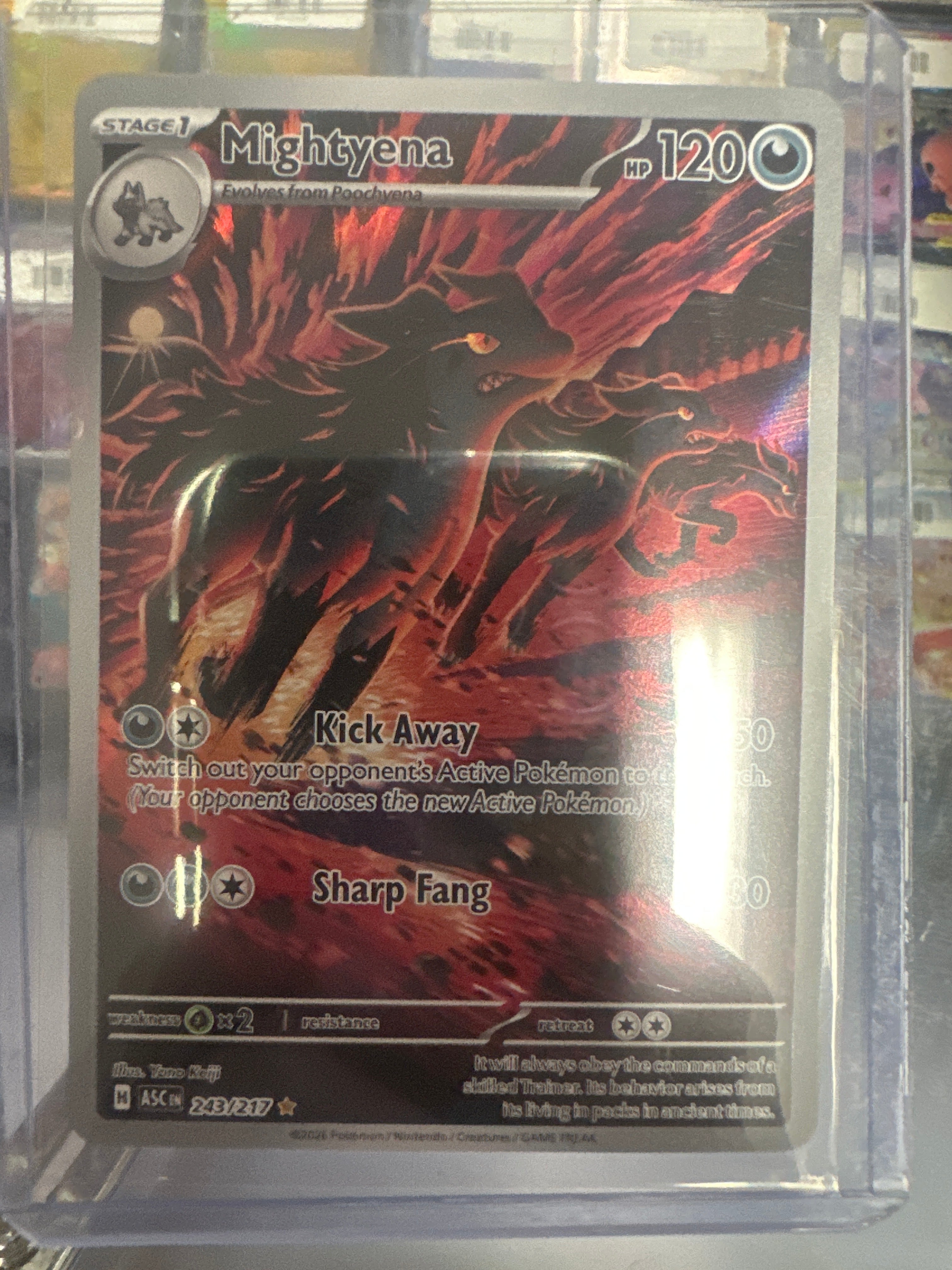 Pokémon | Mightyena 243/217 • Ascended Heroes