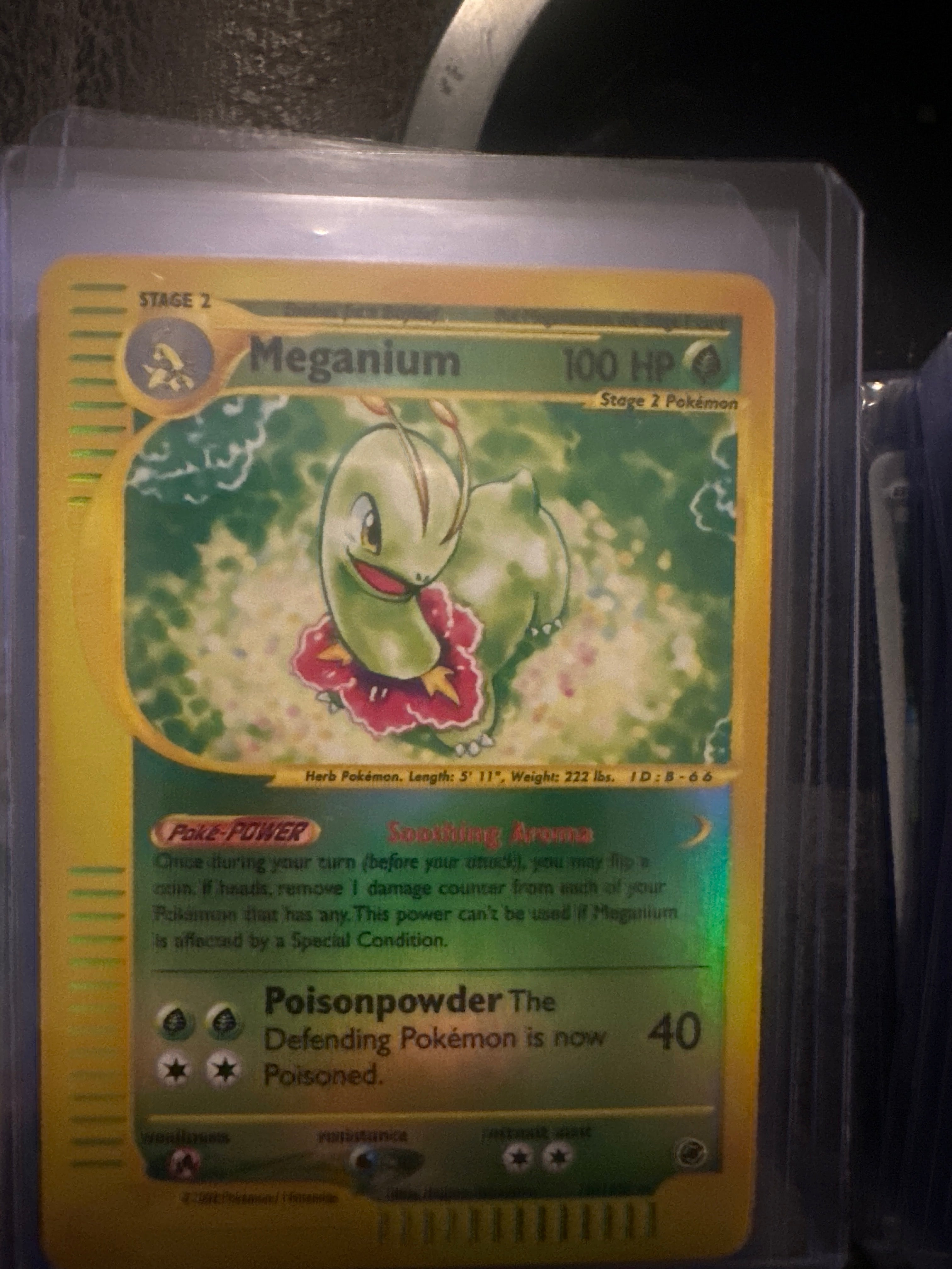 Pokémon | Meganium 18/165 • Expedition