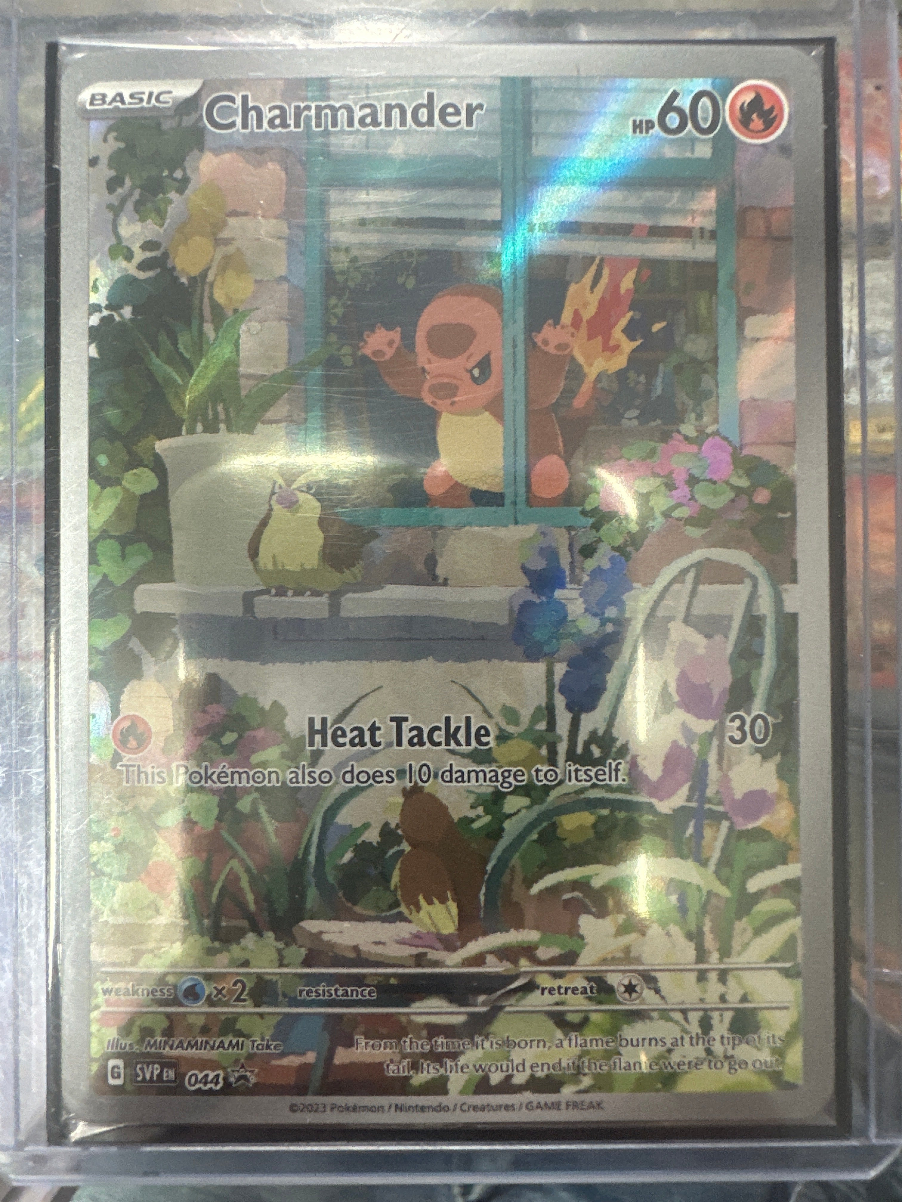 Pokémon | Charmander 044 Promo • Scarlet & Violet