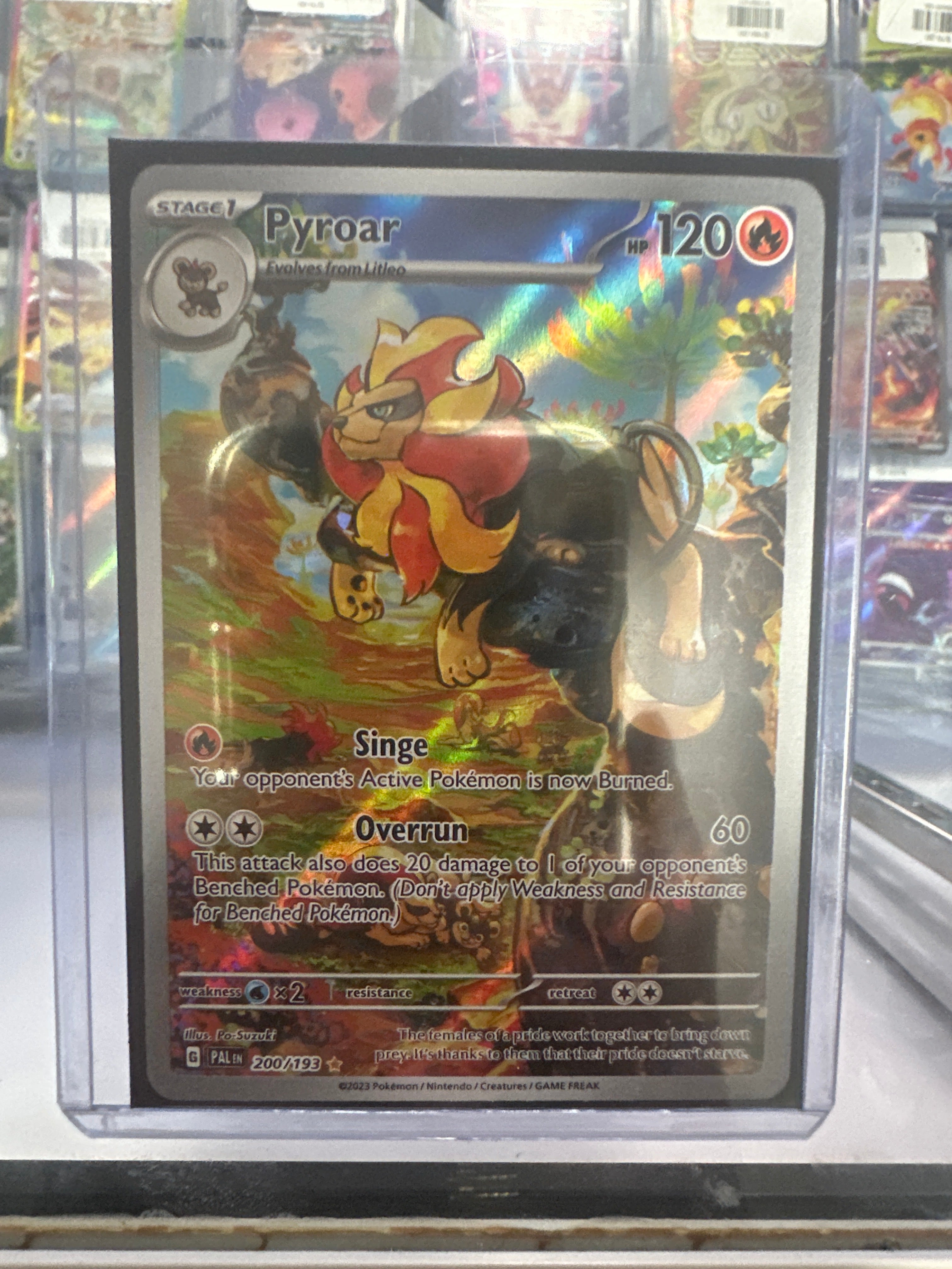 Pokémon | Pyroar 200/193 • Paldea Evolved