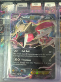 Pokémon | Yveltal EX XY150 Promo • XY