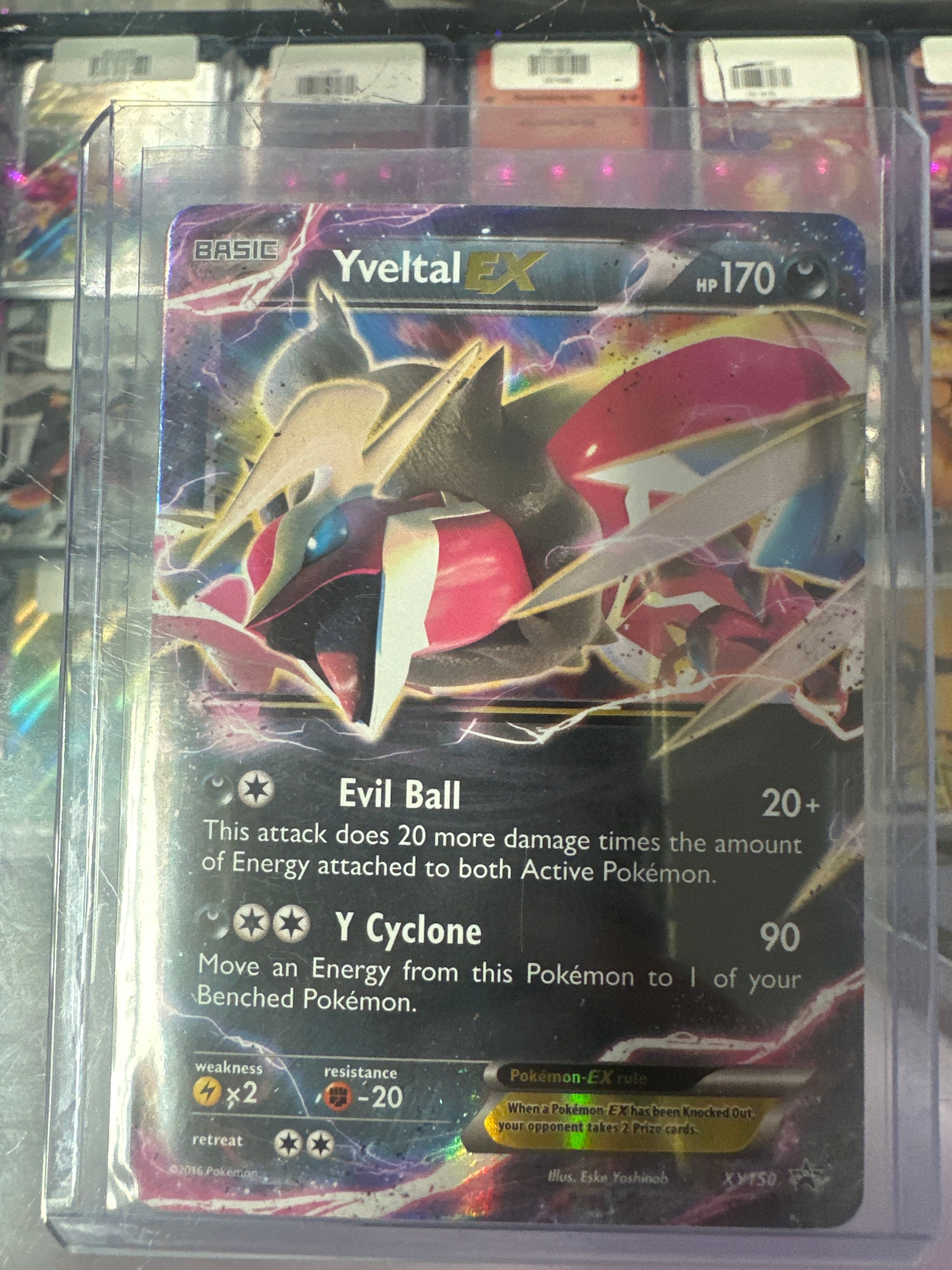 Pokémon | Yveltal EX XY150 Promo • XY