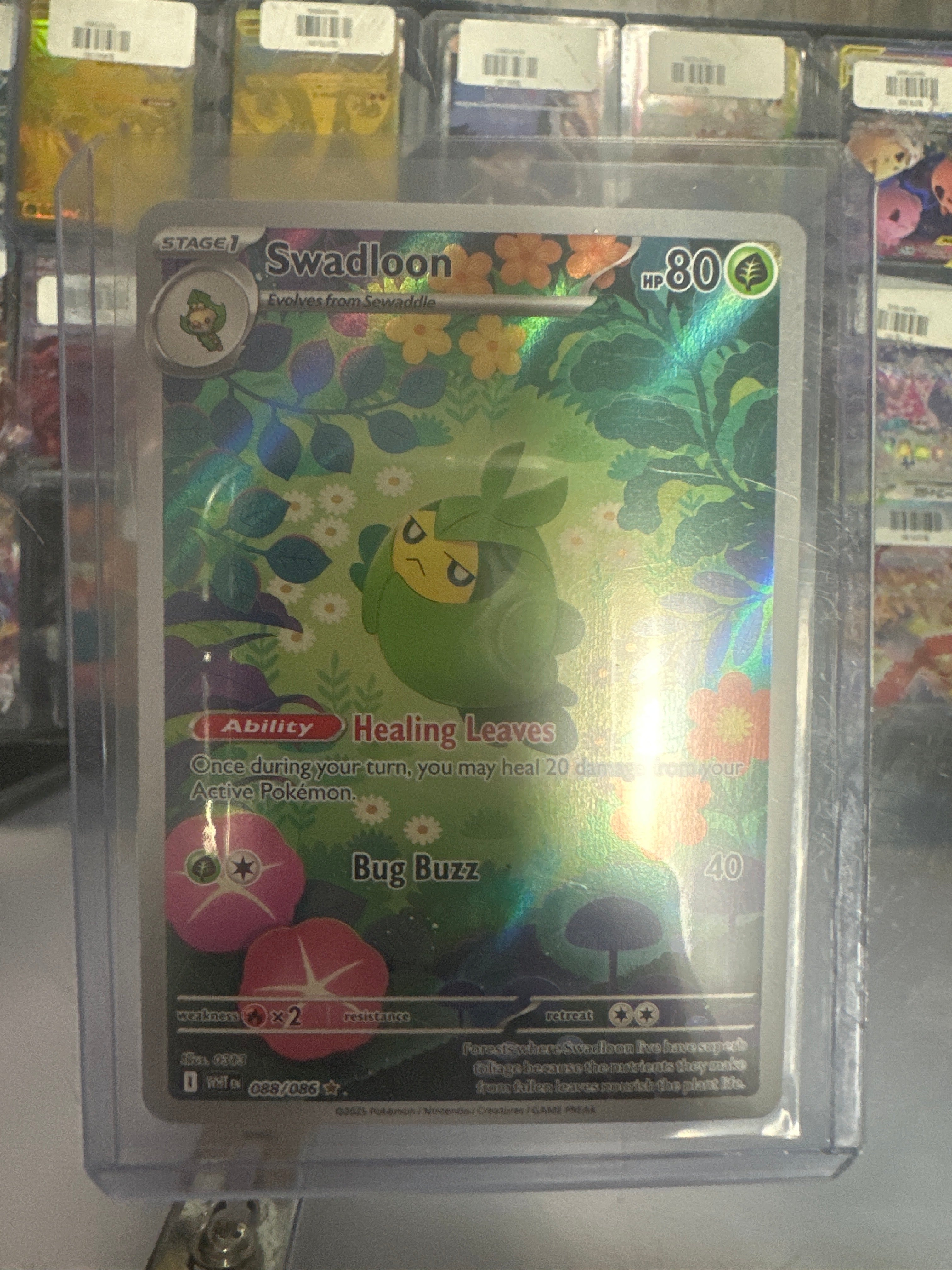 Pokémon | Swadloon 088/086 • White Flare