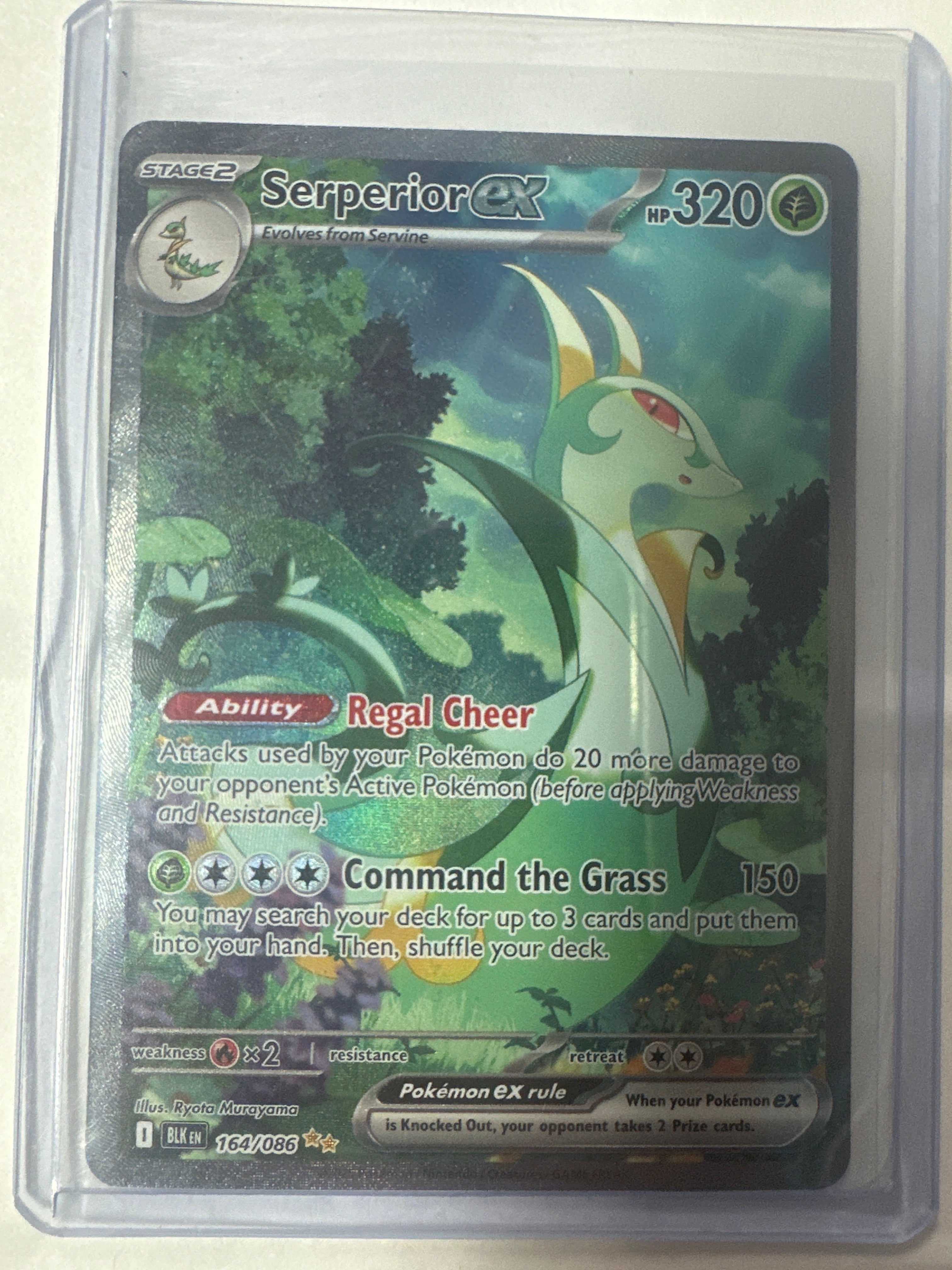 Pokémon | Serperior EX 164/086 • Black Bolt