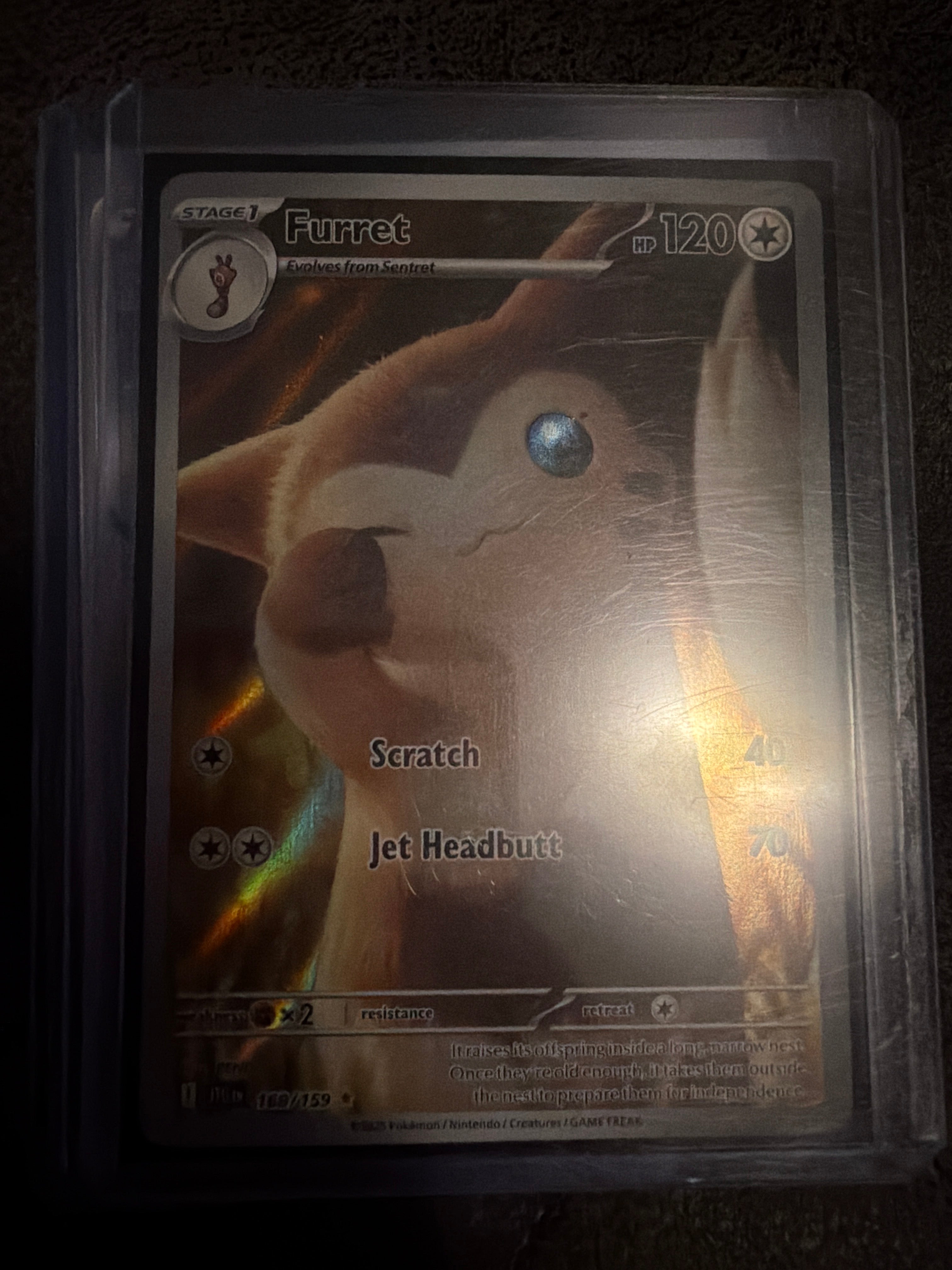 Pokemon | Furret - 168/159 - SV09: Journey Together (JTG
