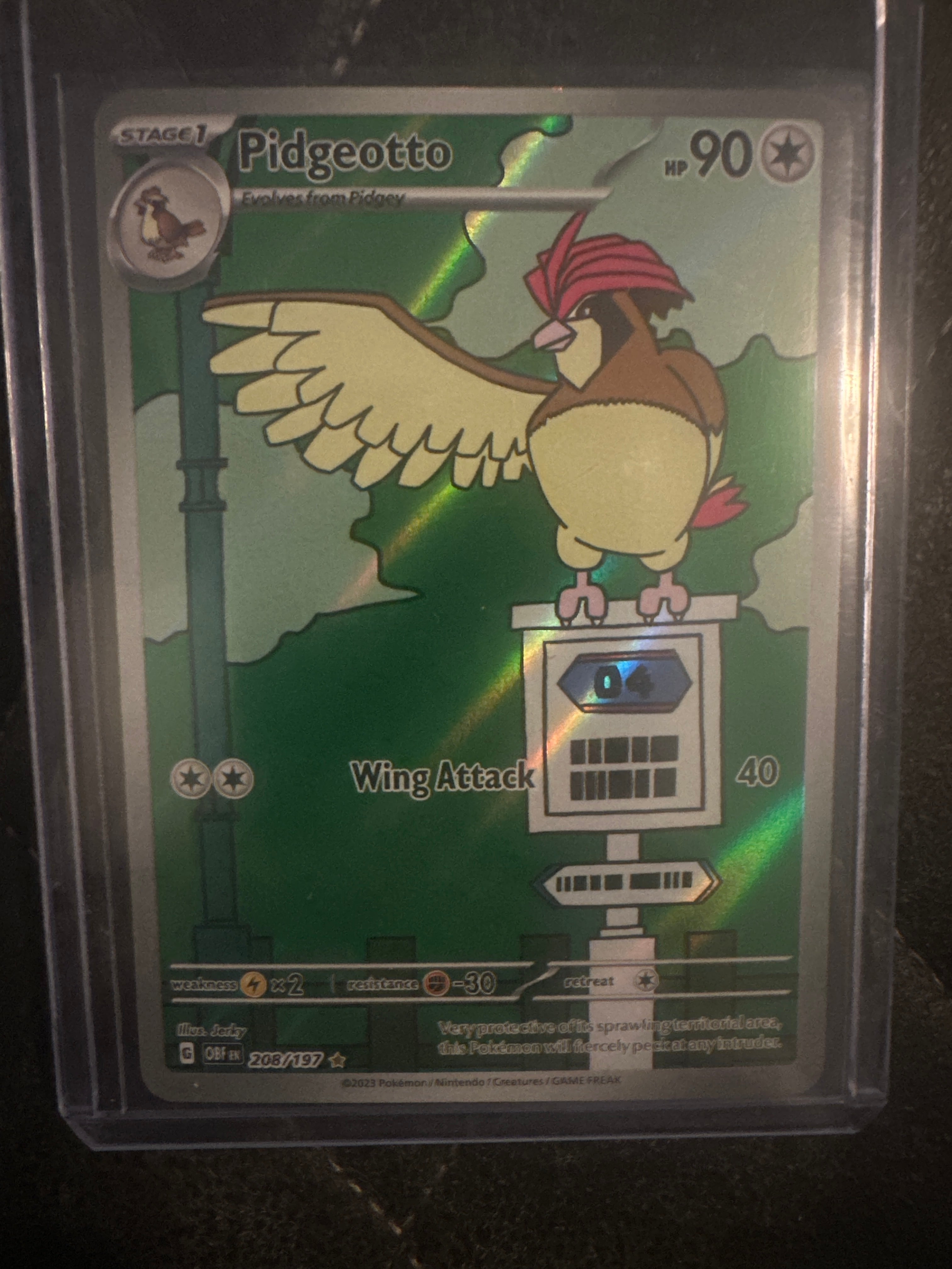 Pokémon | Pidgeotto 208/197 • Obsidian Flames