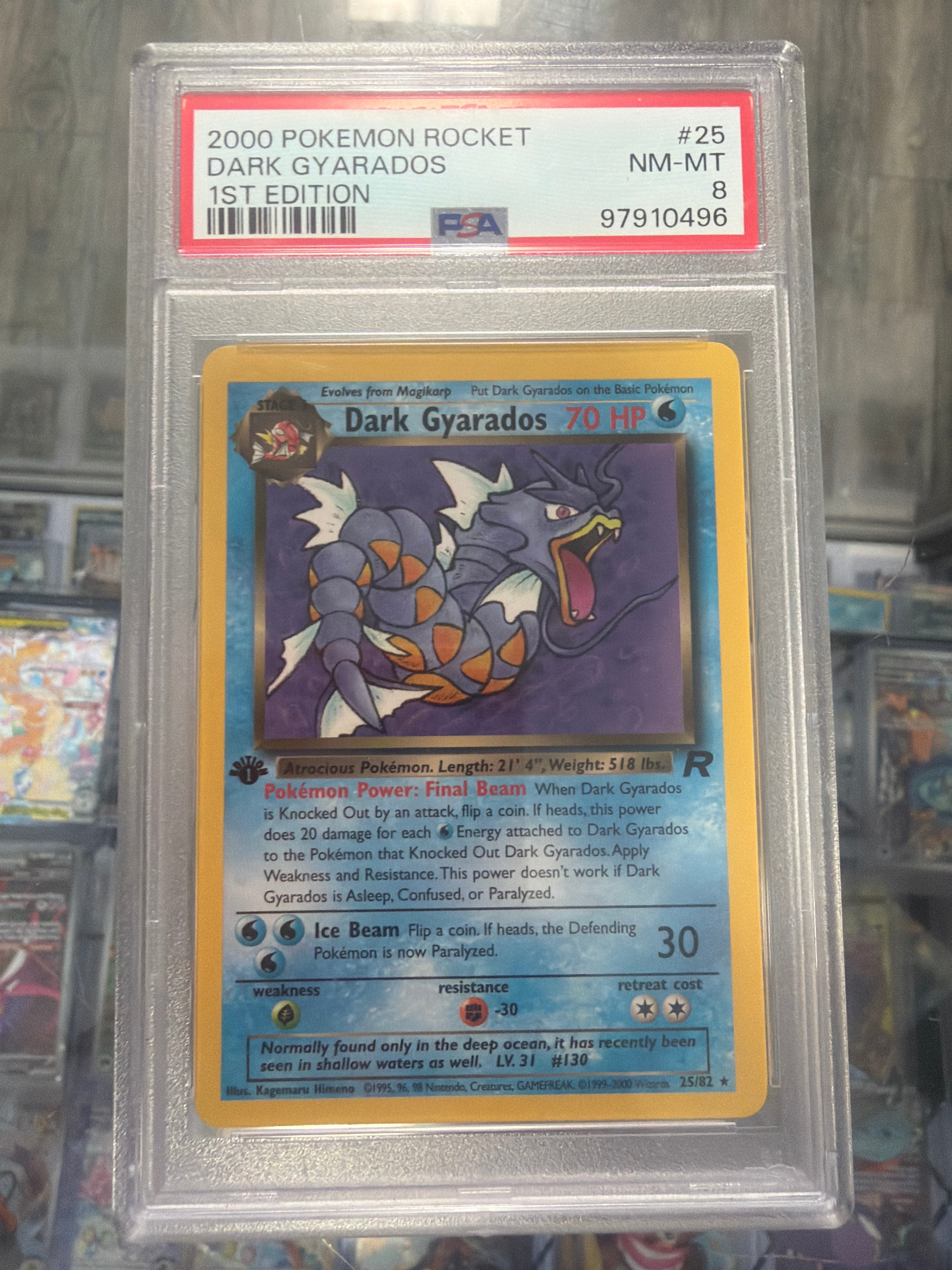 Pokemon | PSA 8 1st Edition Dark Garados