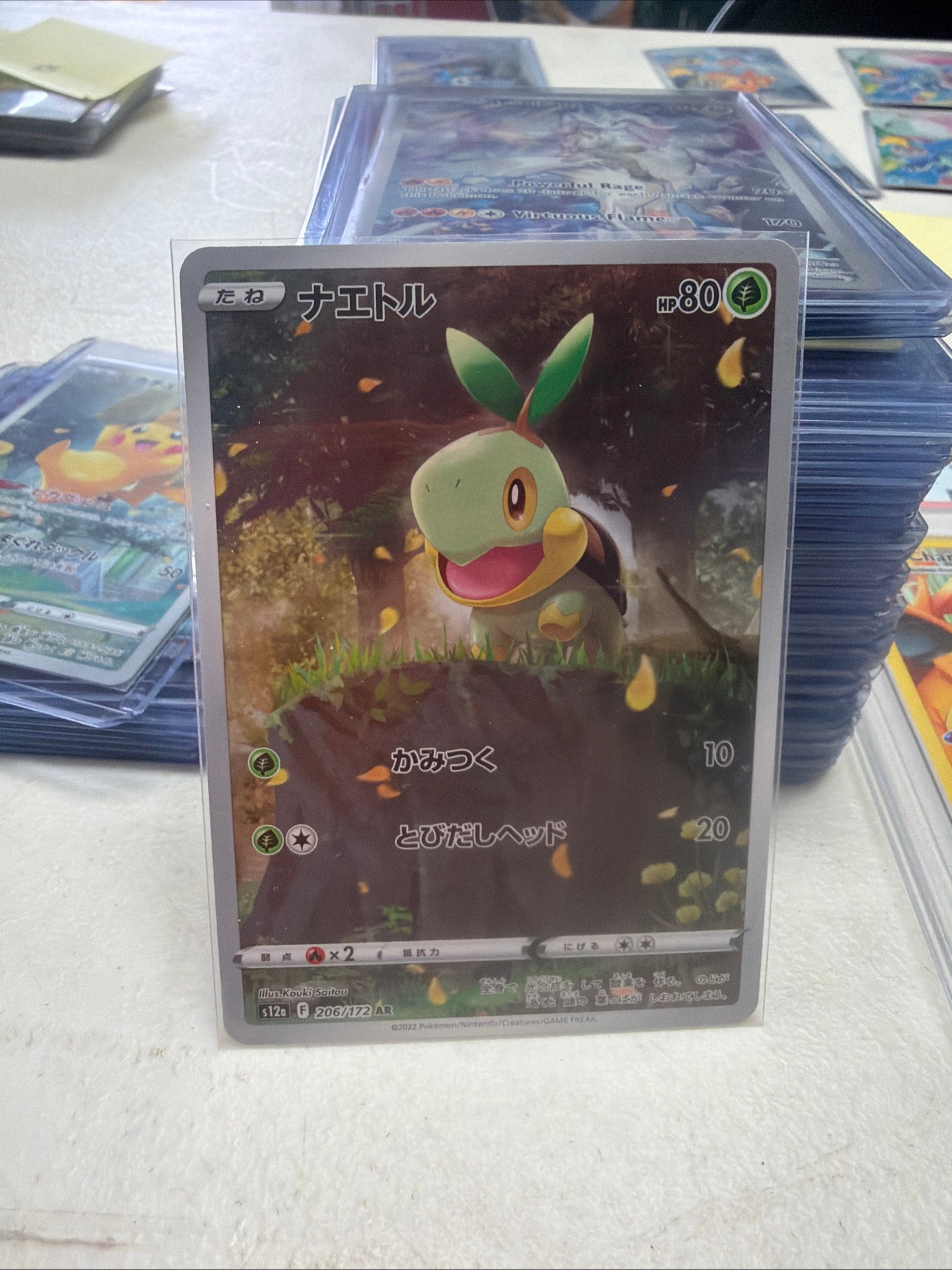 Pokemon | Turtwig 006/011  Celebration Gathering