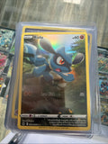 Pokemon | Riolu - GG26/GG70 - SwSh13 Crown Zenith - Galarian Gallery