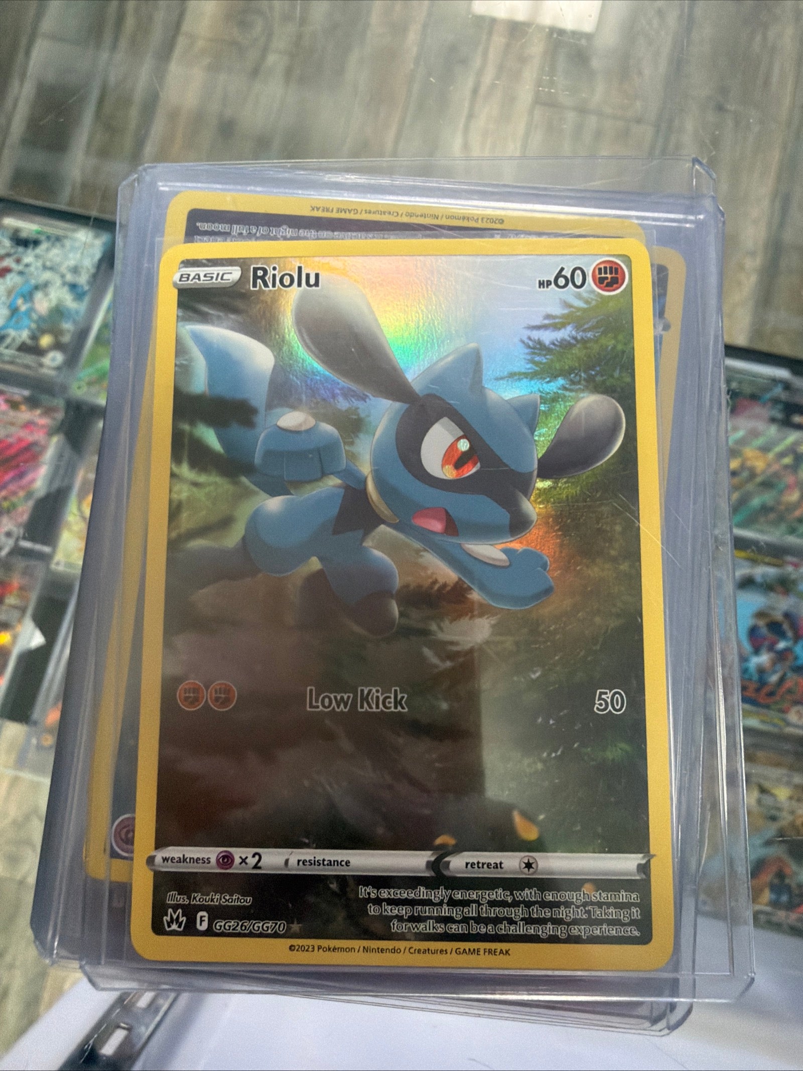 Pokemon | Riolu - GG26/GG70 - SwSh13 Crown Zenith - Galarian Gallery